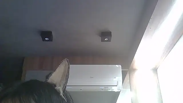 Snapshot of Skinny-Kitten chatting on February 17, 2026, 1:41 pm Skinny-Kitten online show from February 17, 2026, 1:41 pm