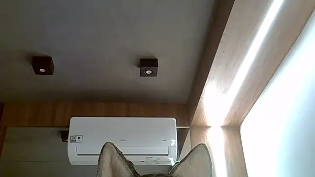 Skinny-Kitten online show from September 20, 2025, 2:49 am