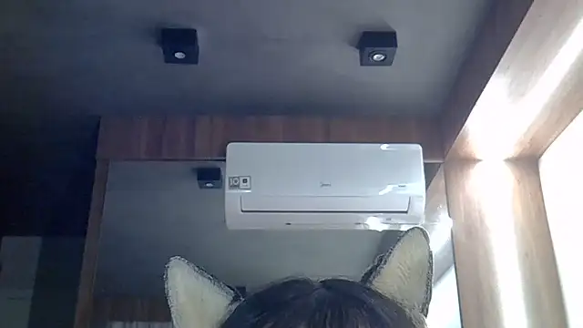 Snapshot of Skinny-Kitten chatting on June 26, 2026, 11:38 am Skinny-Kitten online show from June 26, 2026, 11:38 am