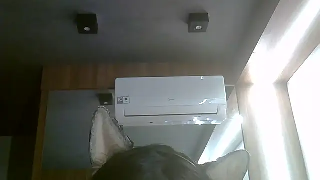 Snapshot of Skinny-Kitten chatting on July 5, 2026, 6:04 pm Skinny-Kitten online show from July 5, 2026, 6:04 pm