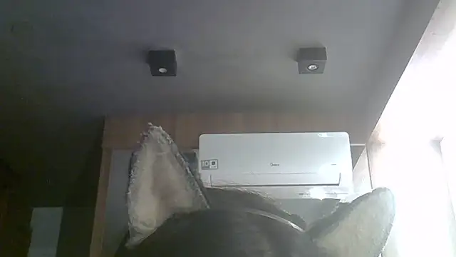 Snapshot of Skinny-Kitten chatting on August 1, 2026, 10:35 am Skinny-Kitten online show from August 1, 2026, 10:35 am