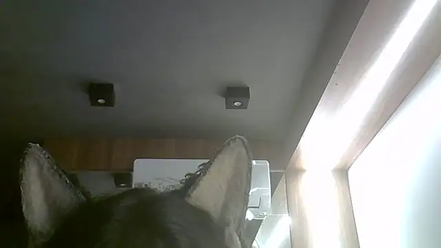 Snapshot of Skinny-Kitten chatting on February 15, 2026, 2:12 am Skinny-Kitten online show from February 15, 2026, 2:12 am