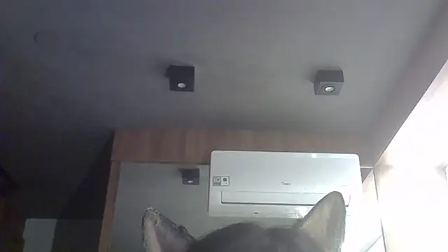 Snapshot of Skinny-Kitten chatting on February 10, 2026, 11:59 pm Skinny-Kitten online show from February 10, 2026, 11:59 pm