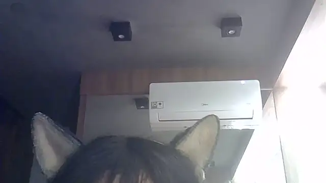 Snapshot of Skinny-Kitten chatting on July 1, 2026, 2:34 am Skinny-Kitten online show from July 1, 2026, 2:34 am