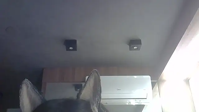 Snapshot of Skinny-Kitten chatting on February 28, 2026, 2:44 am Skinny-Kitten online show from February 28, 2026, 2:44 am