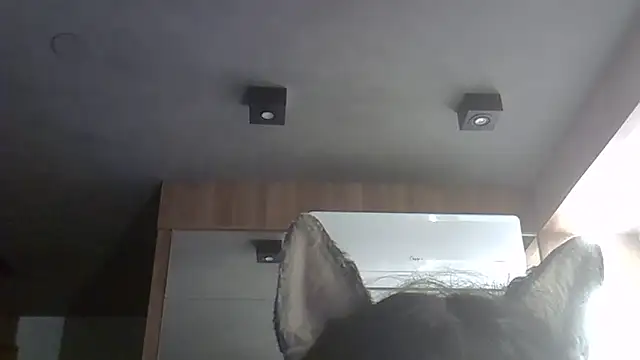 Snapshot of Skinny-Kitten chatting on February 9, 2026, 10:24 am Skinny-Kitten online show from February 9, 2026, 10:24 am