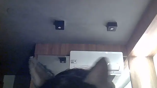 Snapshot of Skinny-Kitten chatting on July 12, 2026, 7:42 am Skinny-Kitten online show from July 12, 2026, 7:42 am