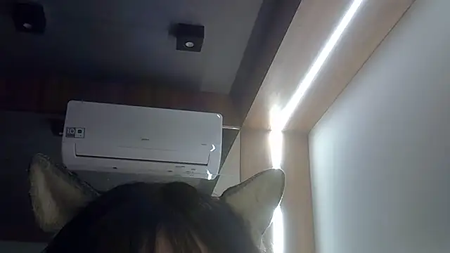 Snapshot of Skinny-Kitten chatting on July 20, 2026, 11:51 pm Skinny-Kitten online show from July 20, 2026, 11:51 pm