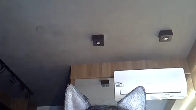 Skinny-Kitten online show from November 6, 2025, 5:17 pm