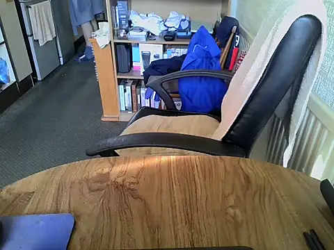 Snapshot of daddyflash chatting on February 27, 2026, 11:32 am daddyflash online show from February 27, 2026, 11:32 am