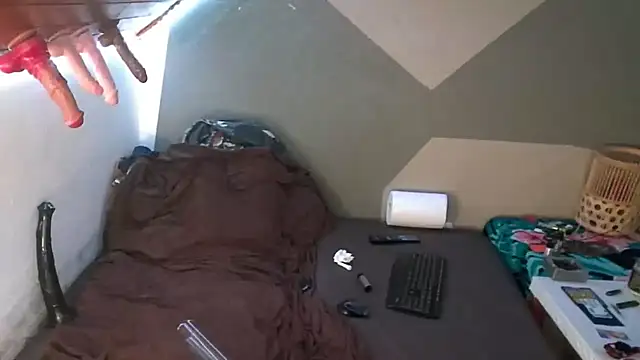 BigTail CZ online show from September 26, 2025, 2:46 pm