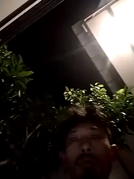 Dwirosebig online show from November 14, 2025, 5:49 pm