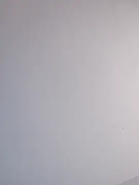 Delicy1 online show from February 12, 2025, 12:44 pm