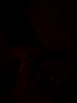 nalalye cruzz  online show from September 29, 2025, 2:29 am