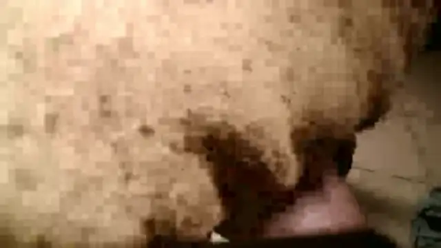 Snapshot of Dan3106x chatting on March 19, 2026, 7:14 pm Dan3106x online show from March 19, 2026, 7:14 pm