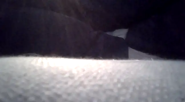 pajpapmgt online show from February 12, 2025, 2:24 am