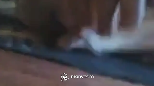 Snapshot of immerGeil79 chatting on April 5, 2026, 5:58 am immerGeil79 online show from April 5, 2026, 5:58 am