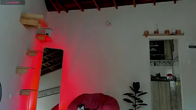 Rainbow leia online show from November 15, 2025, 7:40 pm