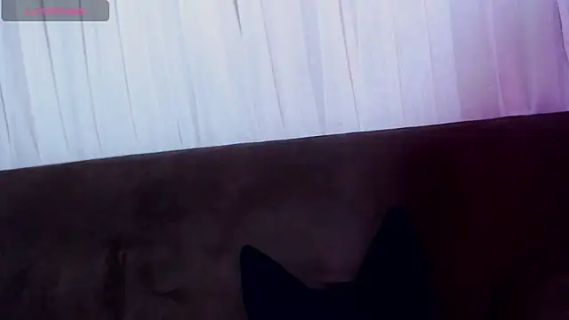 Snapshot of AlissonnFoxx chatting on June 2, 2026, 12:21 am AlissonnFoxx online show from June 2, 2026, 12:21 am