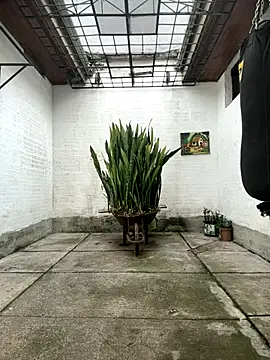 Snapshot of oliver_price1 chatting on October 16, 2025, 7:55 pm oliver price1 online show from October 16, 2025, 7:55 pm